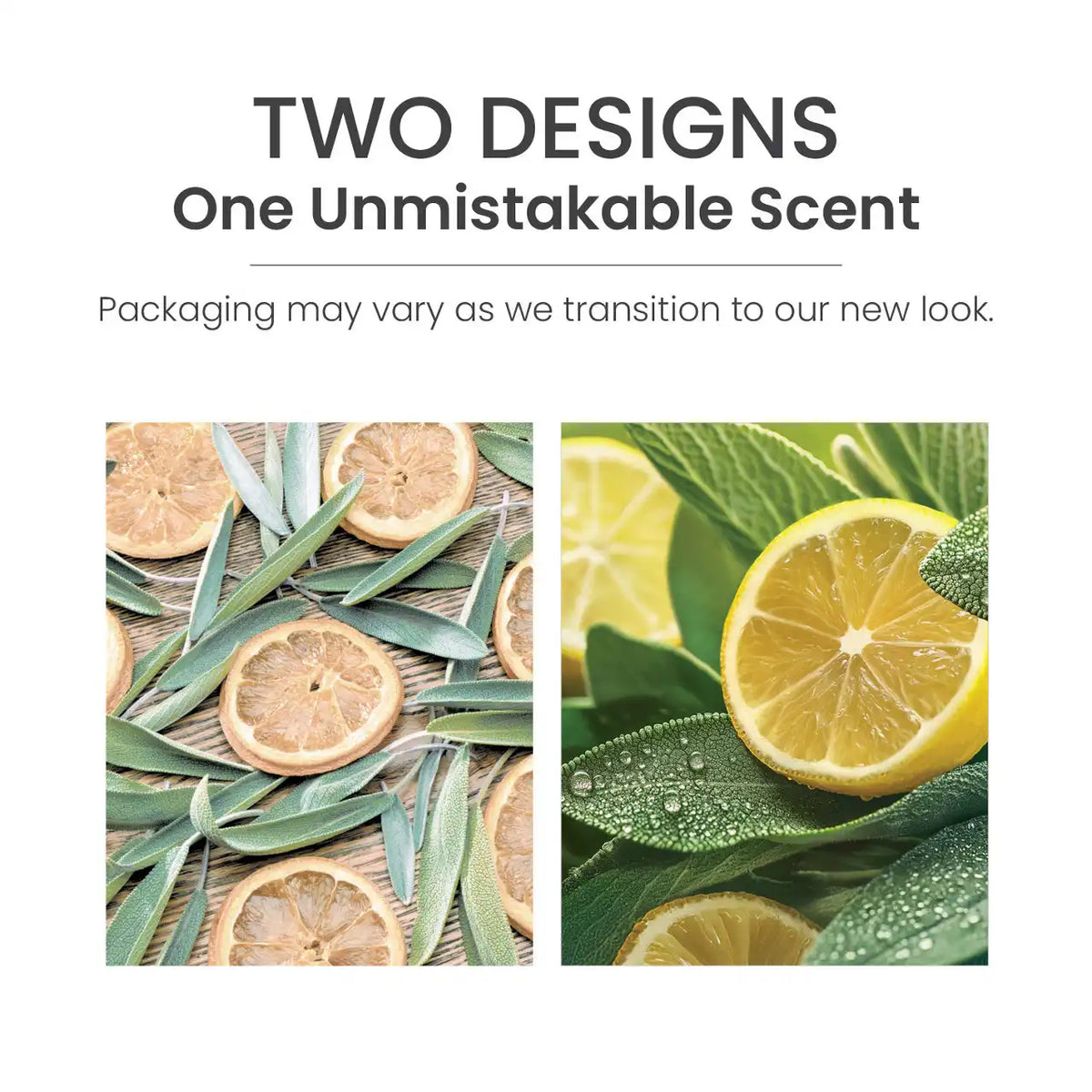 Sage & Citrus ScentPlug® Refill