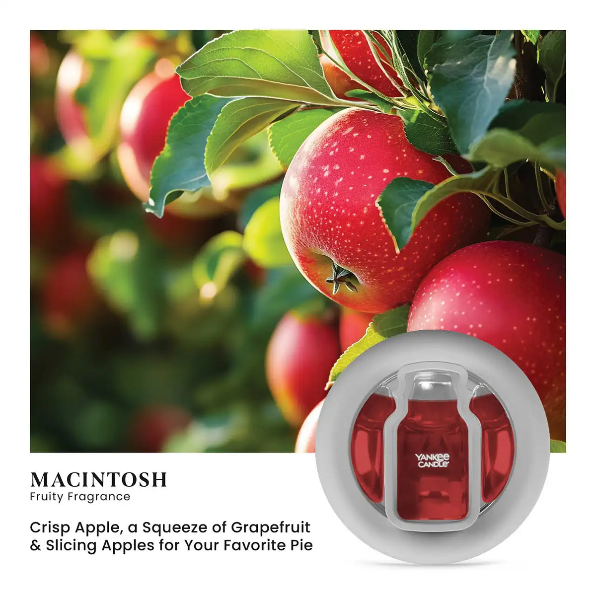 Macintosh Smart Scent™ Vent Clip