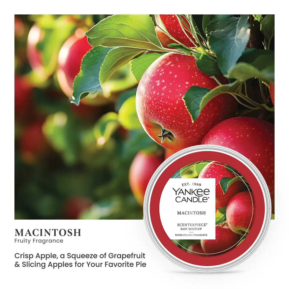 Macintosh Easy MeltCup