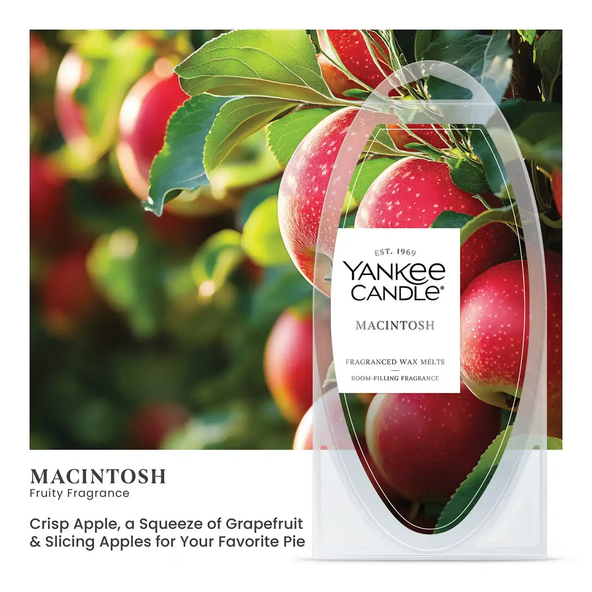 Macintosh Wax Melts 6-Packs
