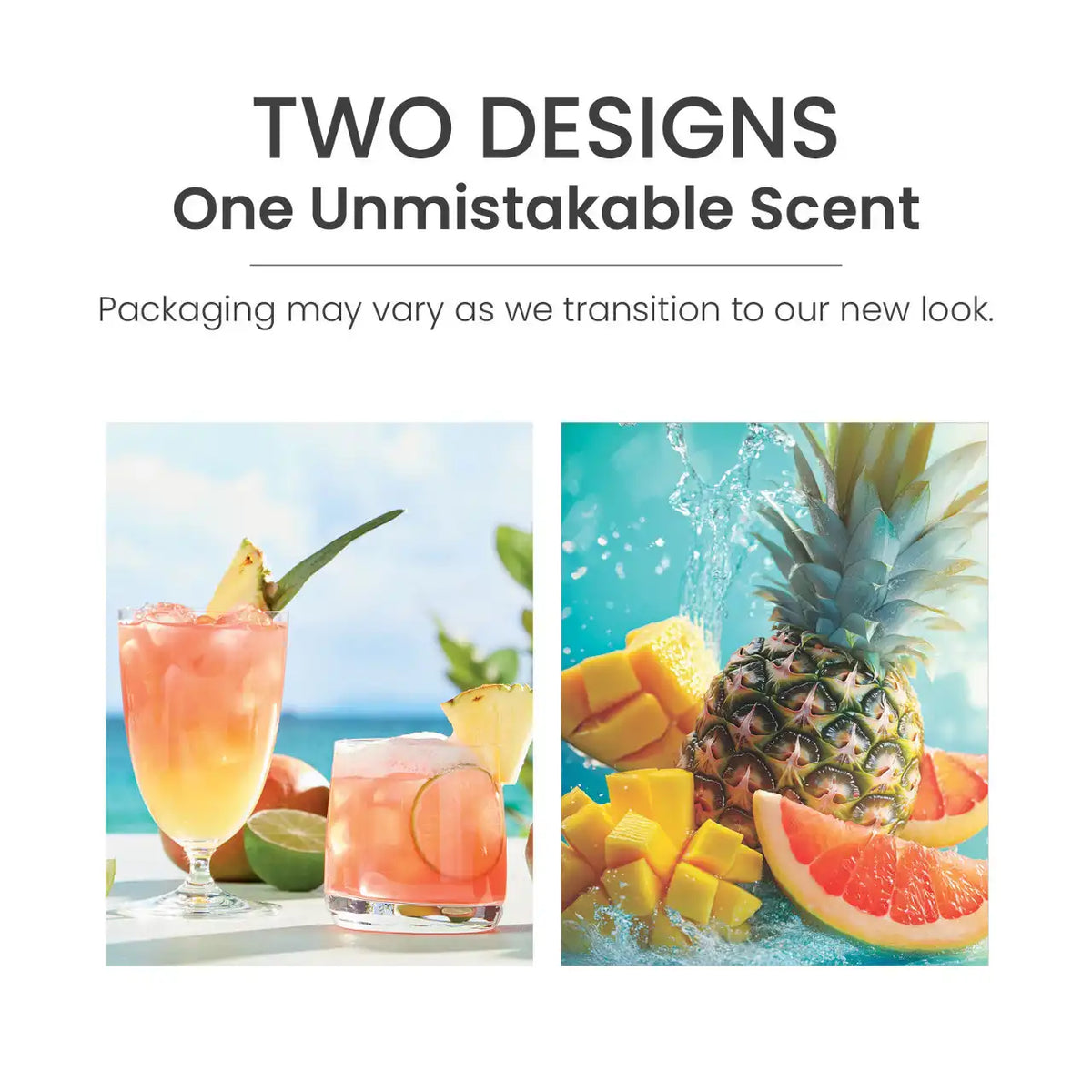 Bahama Breeze™ Sidekick® 2-Pack Fragrance Refills