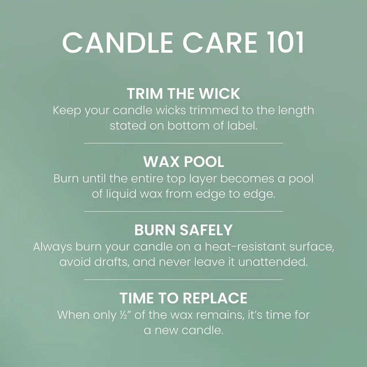 Canyon Pine Original Large Jar Candle