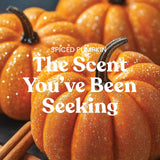 Spiced Pumpkin Yankee Candle® Minis