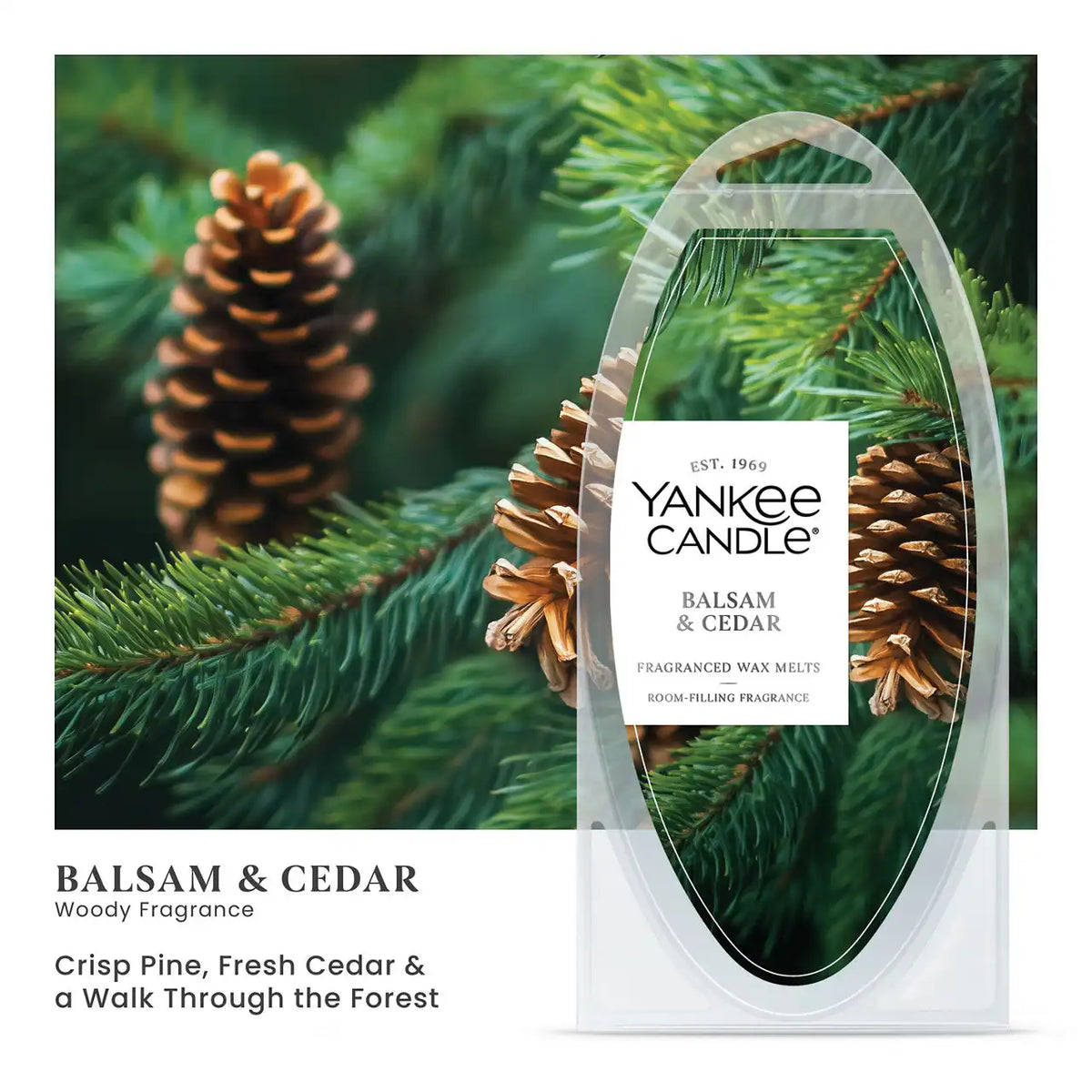 Balsam & Cedar Wax Melts 6-Packs