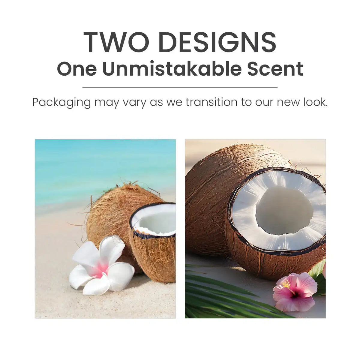 Coconut Beach ScentPlug® Refill