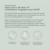Beach Walk® ScentPlug® Refill