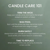 Scripted Spruce Original Large Jar Candle