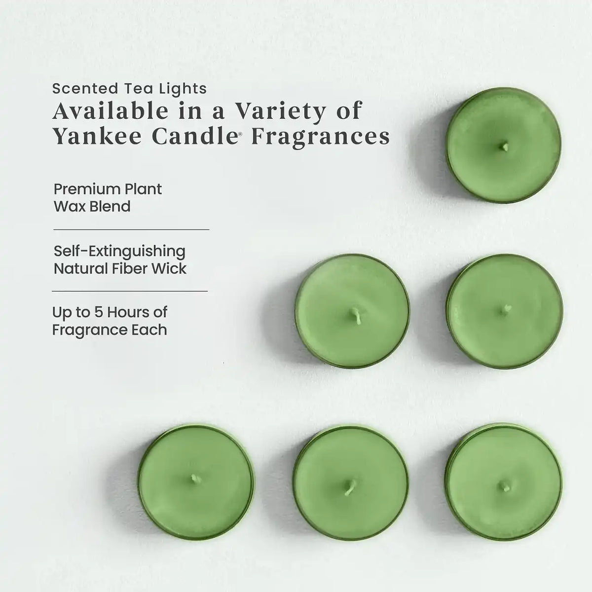 Mistletoe™ Tea Light Candles