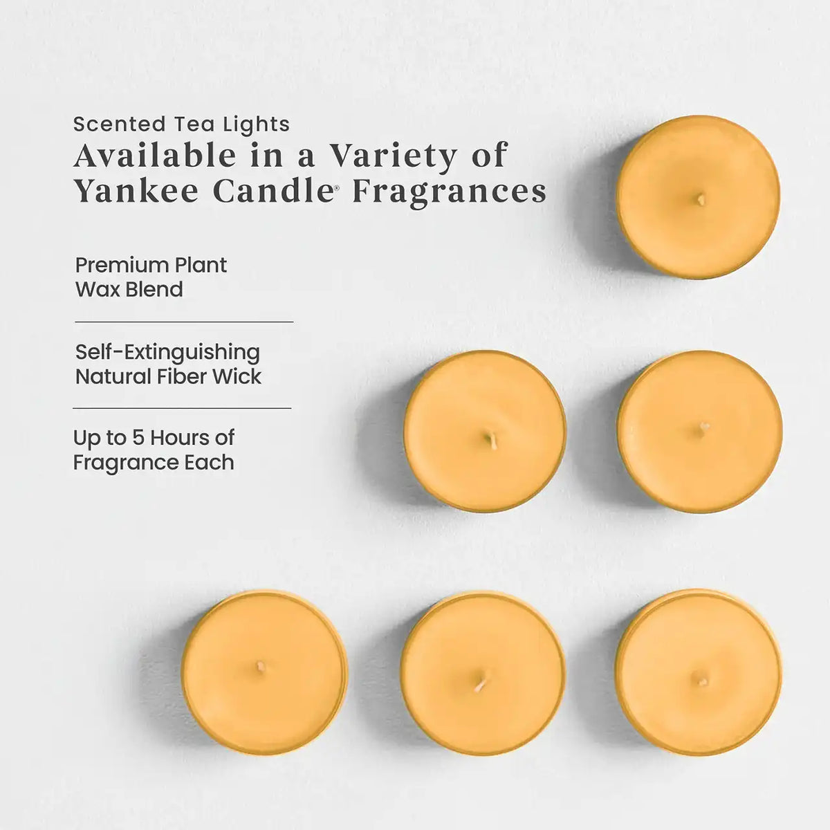 Harvest® Tea Light Candle