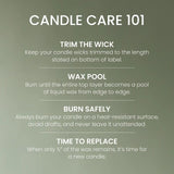 Cardamom Woods Small Tumbler Candle