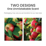 Macintosh Wax Melts 6-Packs