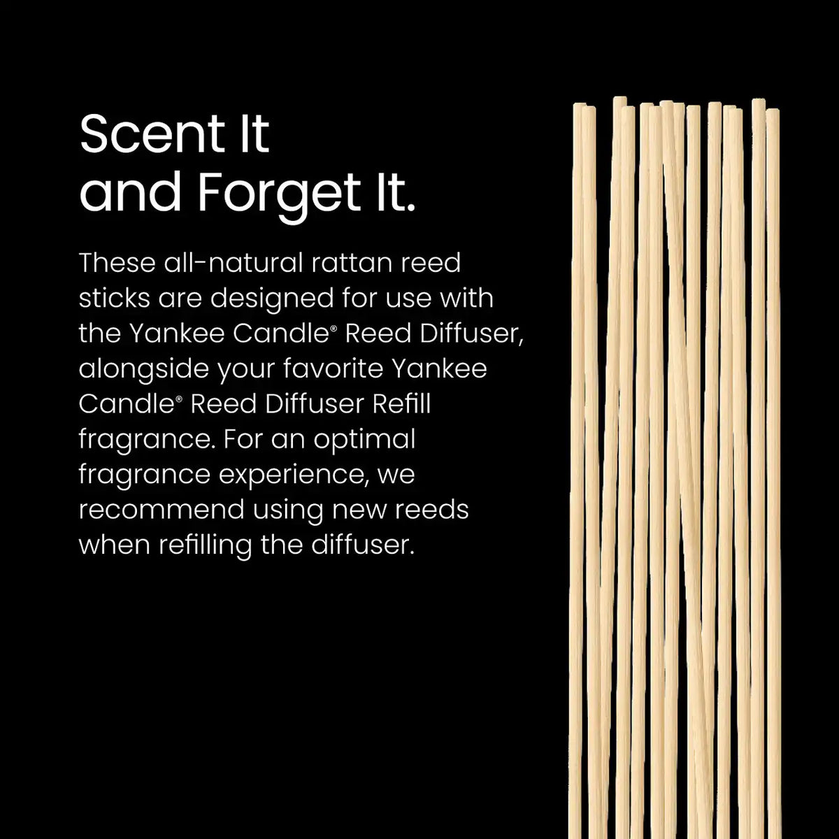 Reed Diffuser Sticks Reed Diffuser Sticks