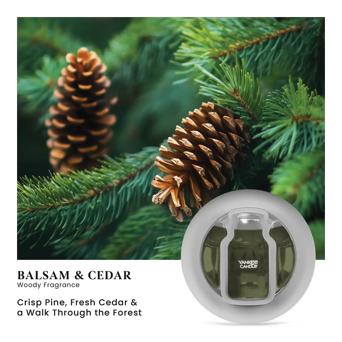 Balsam & Cedar Smart Scent™ Vent Clip