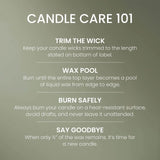 Balsam & Cedar Fireside Original Large Jar Candle
