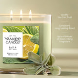 Sage & Citrus 3-Wick Candle