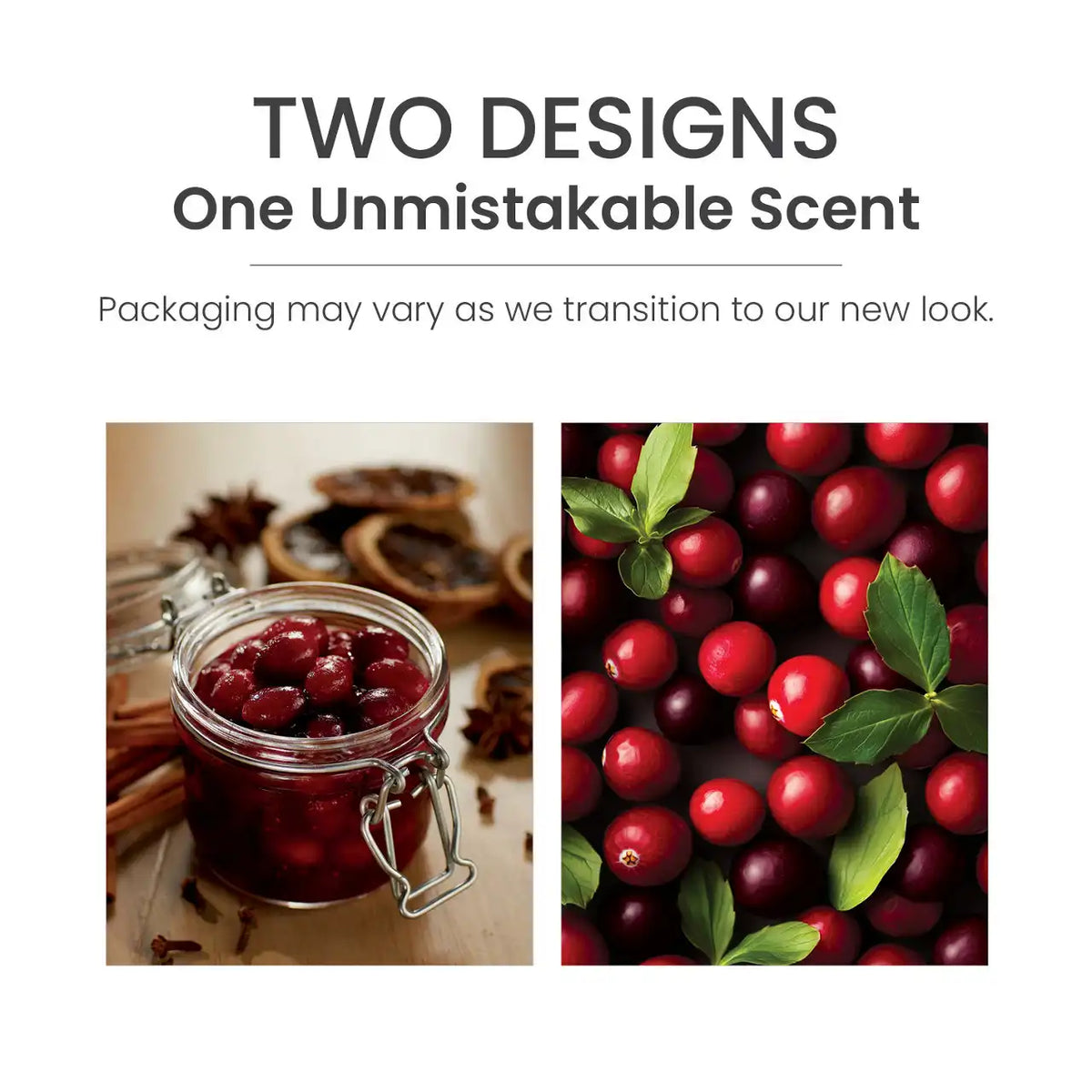 Cranberry Chutney Wax Melts 6-Packs