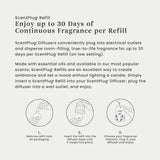 Clean Cotton® ScentPlug® Refill