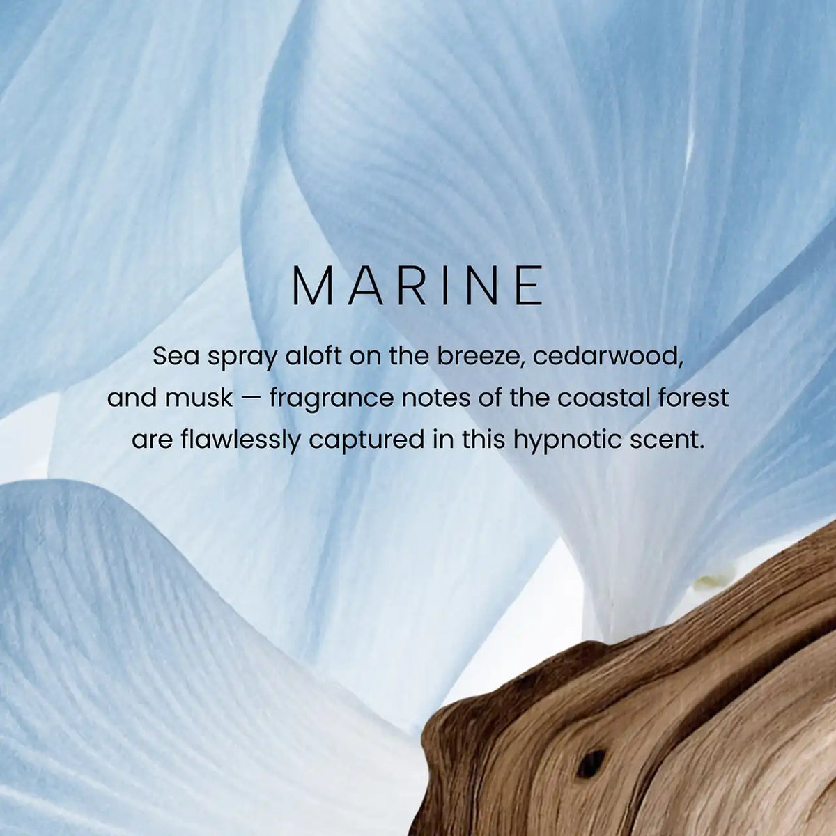 Marine Premium Medium Candle