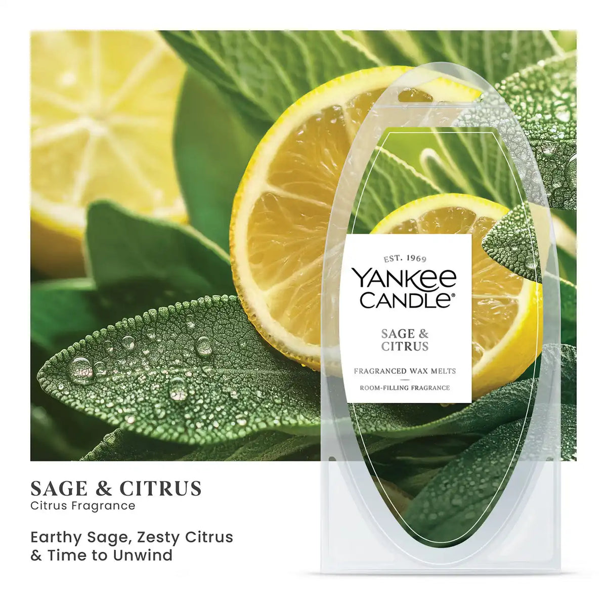 Sage & Citrus Wax Melts 6-Packs