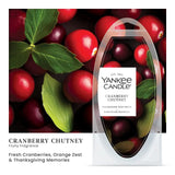 Cranberry Chutney Wax Melts 6-Packs