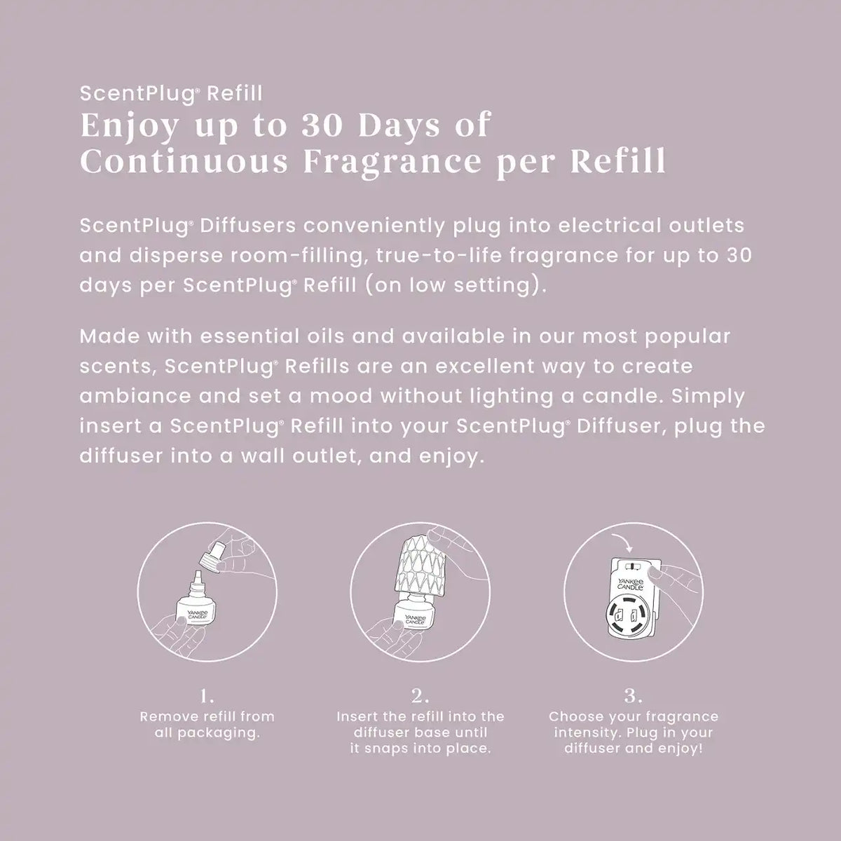 Dried Lavender & Oak ScentPlug® Refill