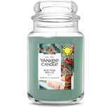 Scripted Spruce Original Large Jar Candle