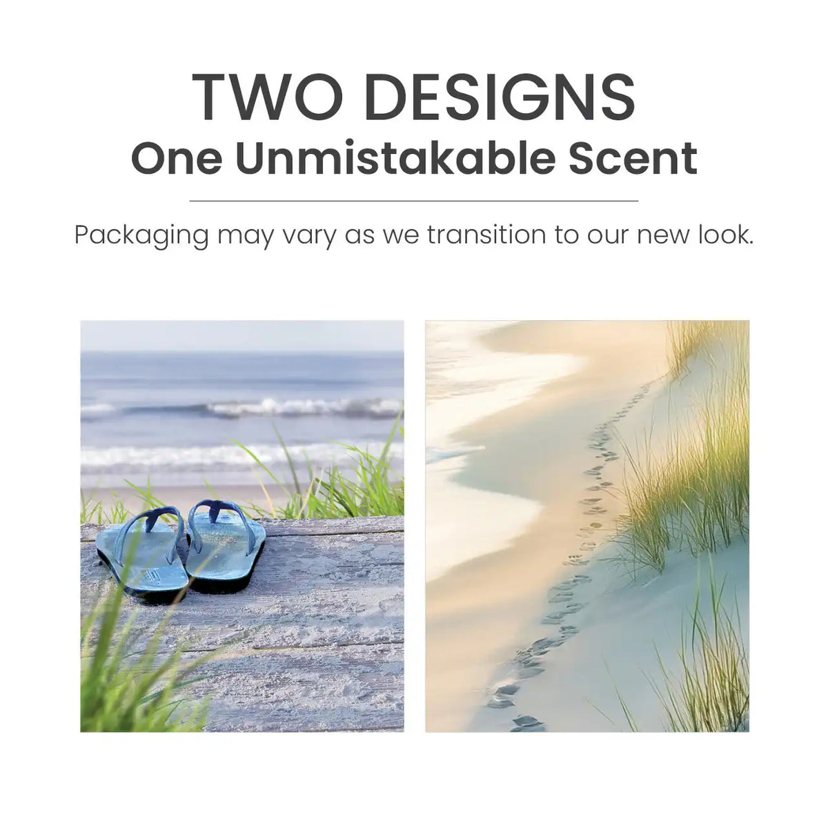 Beach Walk® ScentPlug® Refill