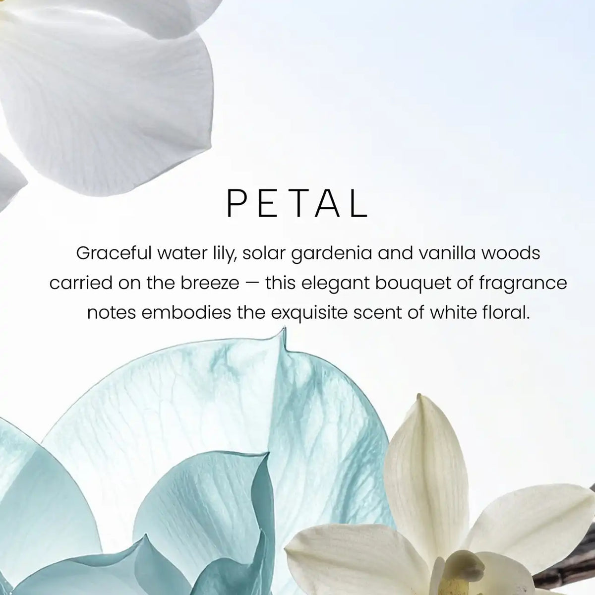 Petal Premium Small Candle